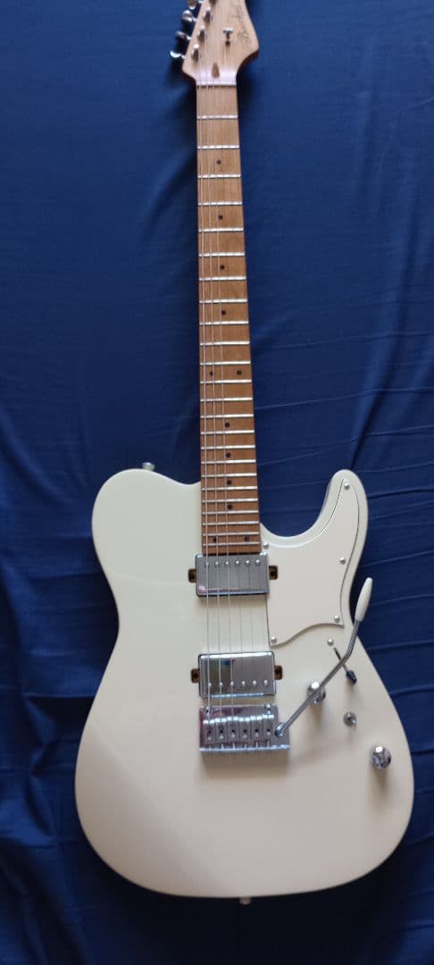 BACCHUS バッカス TAC24 STD-RSM/M OWH