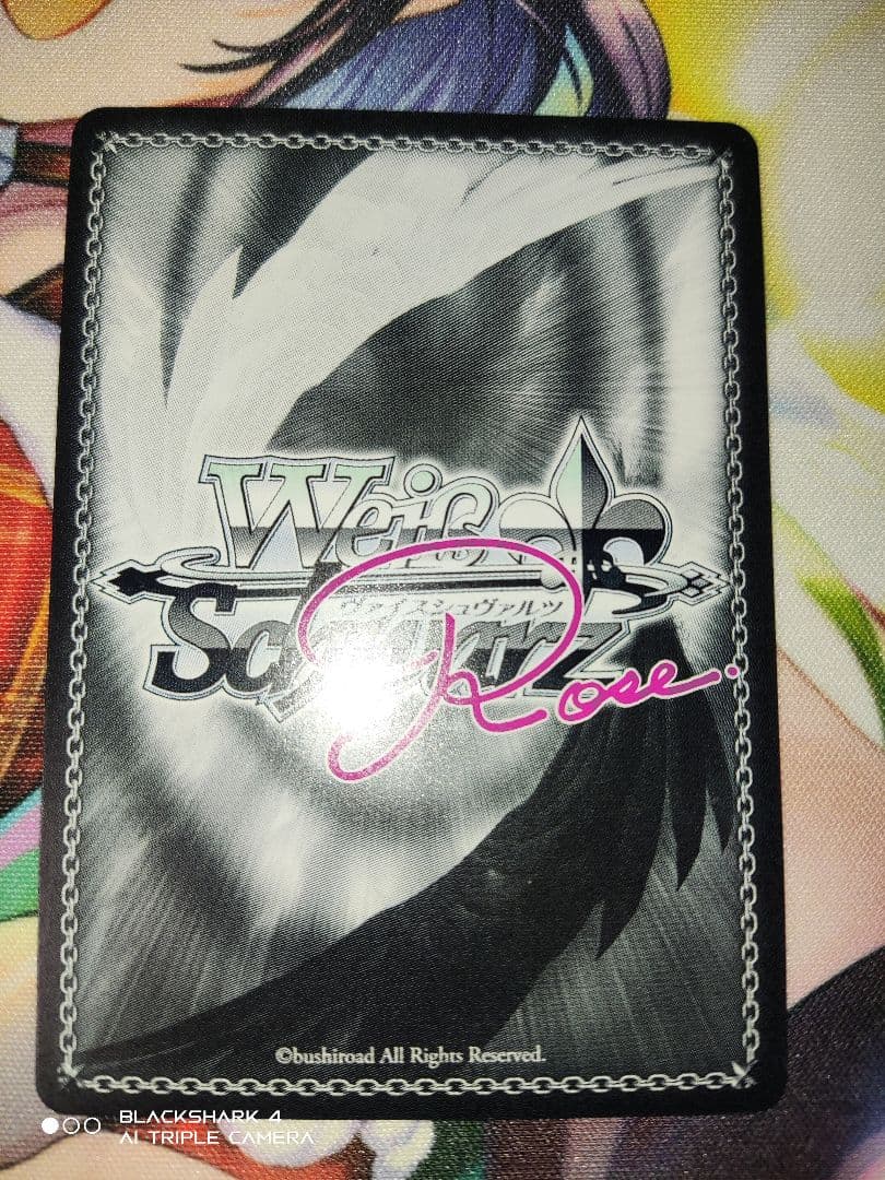 明日朝まで ゼルゼルSSP エルマSP セット 異種族レビュアーズ ヴァイスロゼ