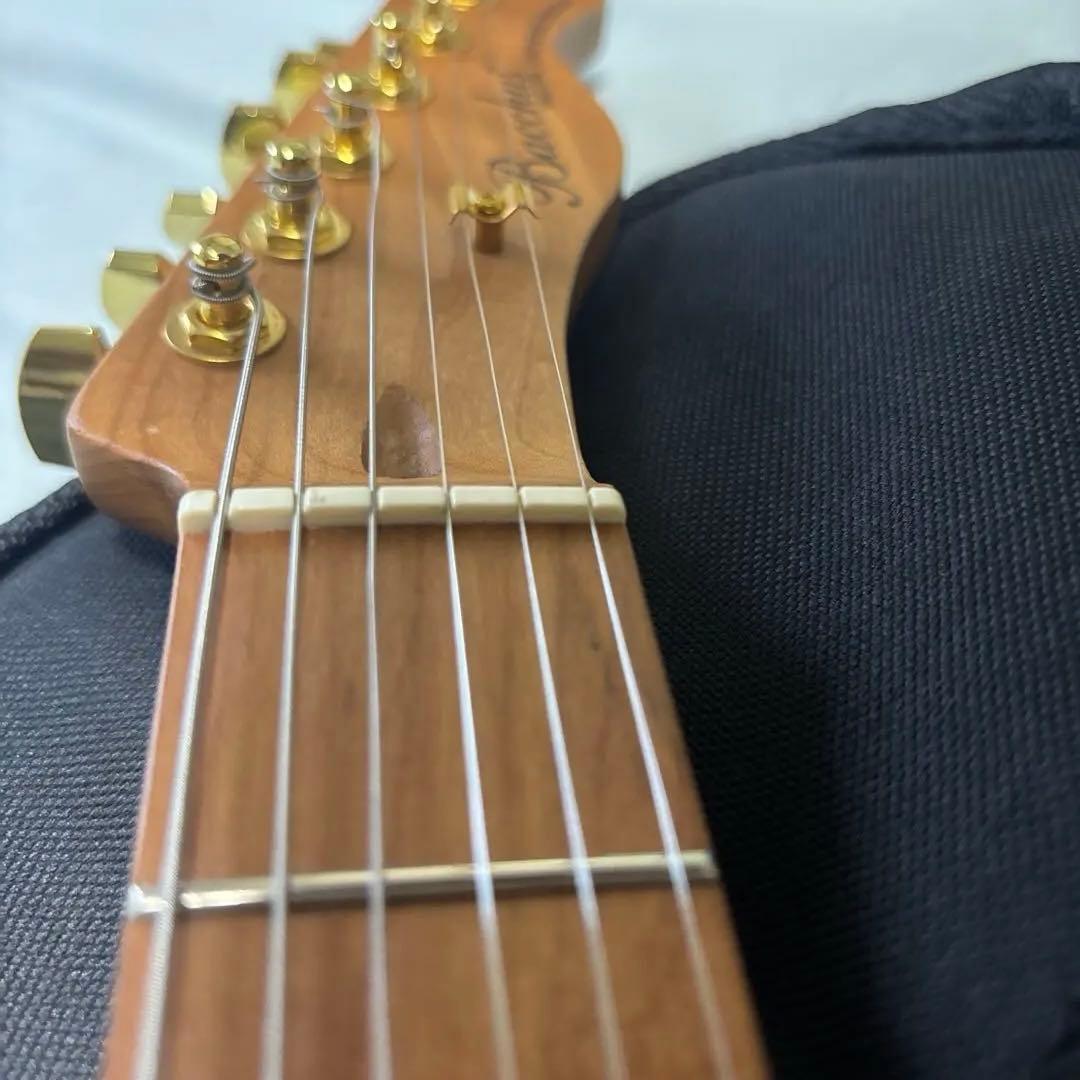 Bacchus universe テレキャスター P90タイプ ゴールドパーツ