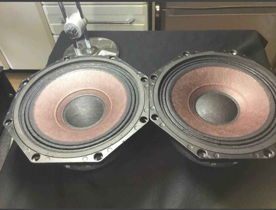 B & C SPEAKERS 8PE21-8 20センチユニット　動作品ペア