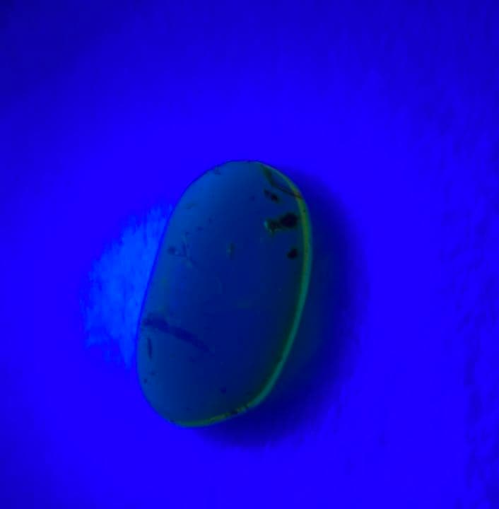 琥珀 虫入り 天然 アンバー  罕石卵  天然石  ムカデ 百足  甲虫