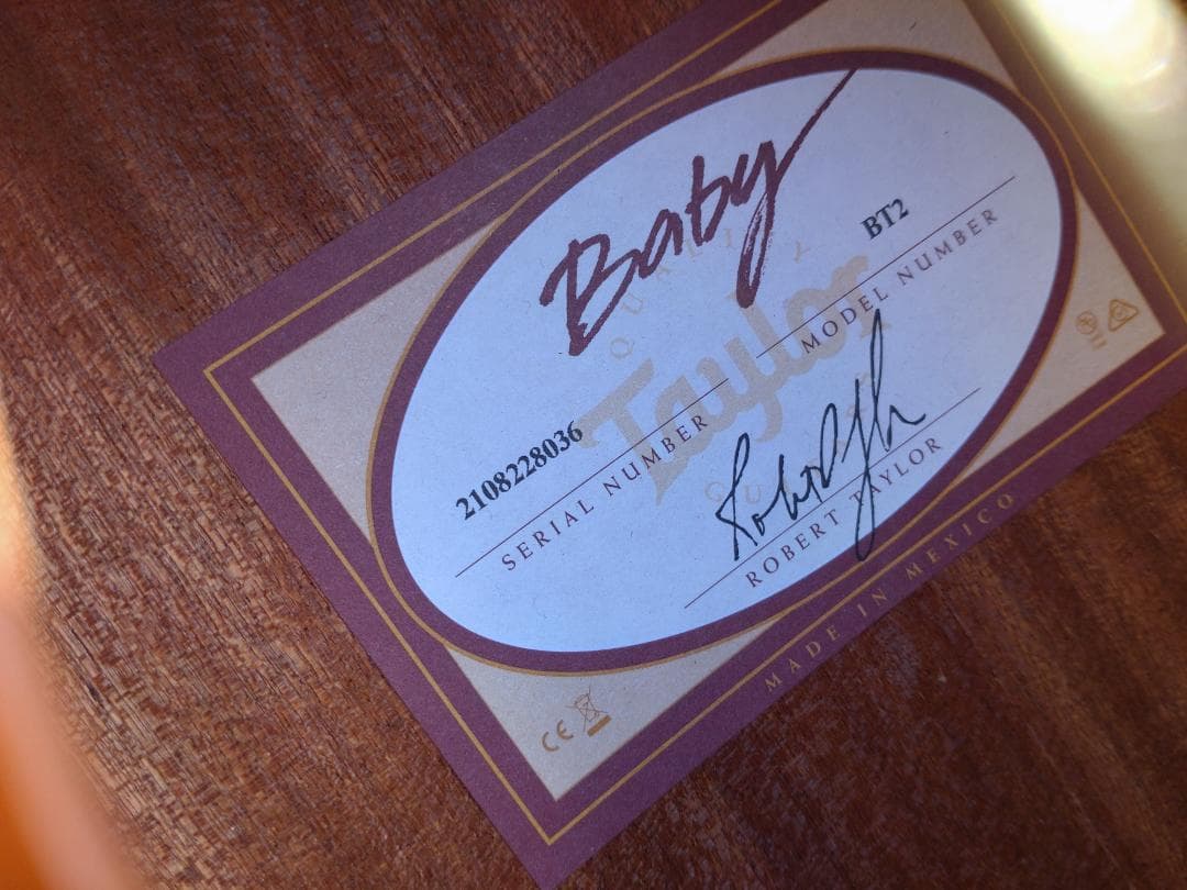 Baby Taylor Mahogany (BT2)とRITTERのギグバッグ