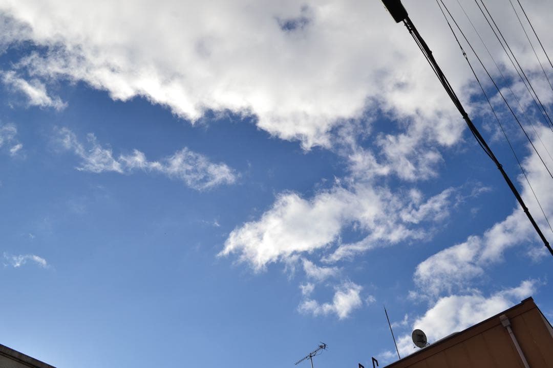 Nikon D3100 デジタル一眼レフ レンズ 18-55mm