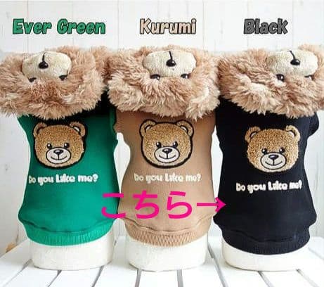 新品 トップス＆インナーパンツcircuscircusサーカスサーカス