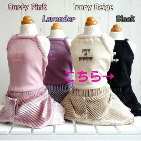 新品 トップス＆インナーパンツcircuscircusサーカスサーカス