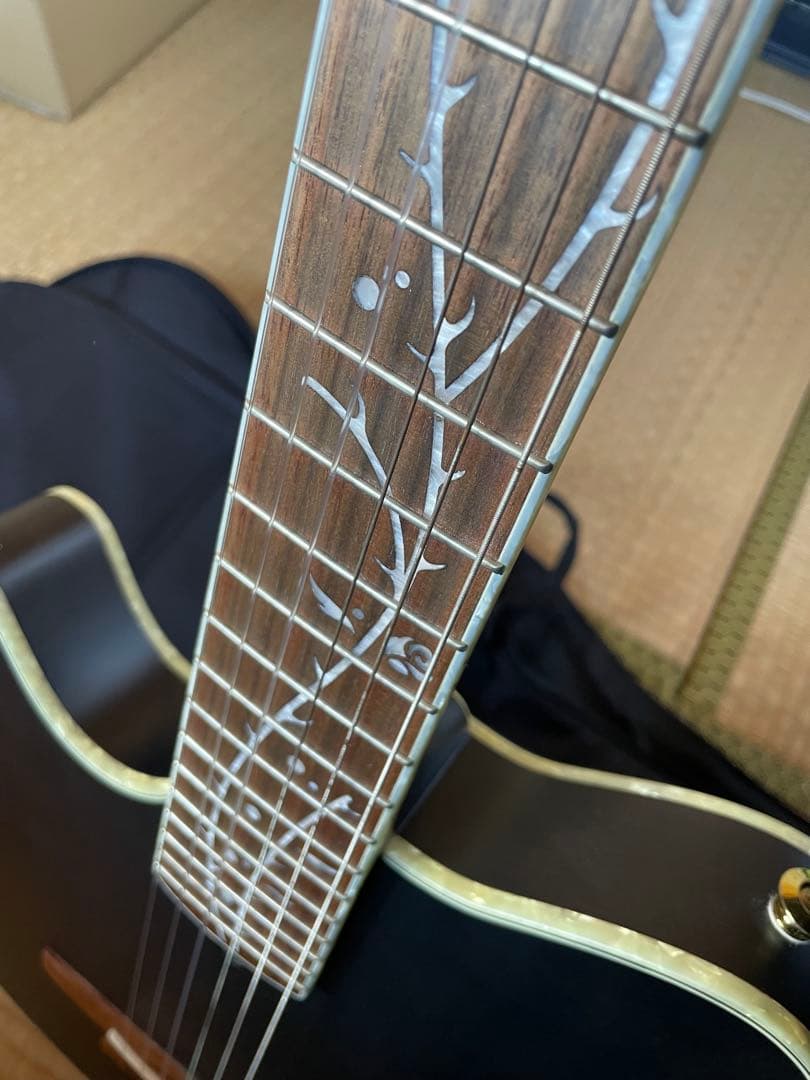 Ibanez TOD10NL-TKF ケース付き