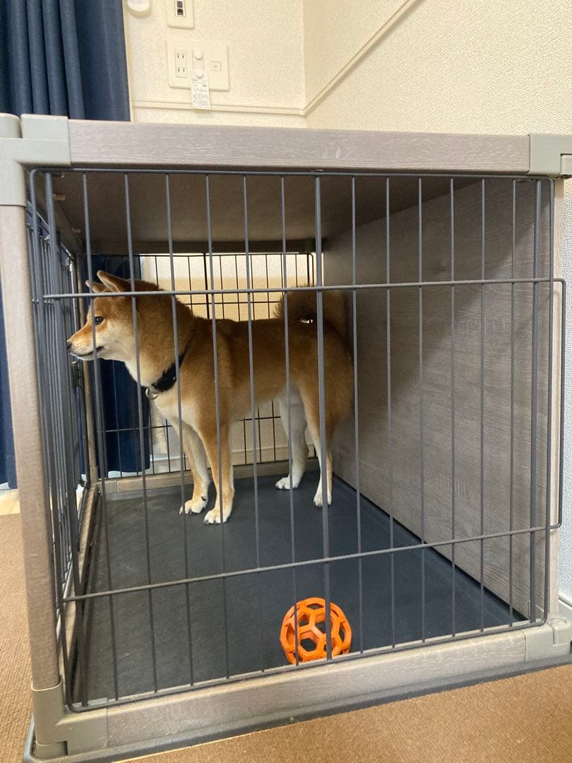 犬用ケージ