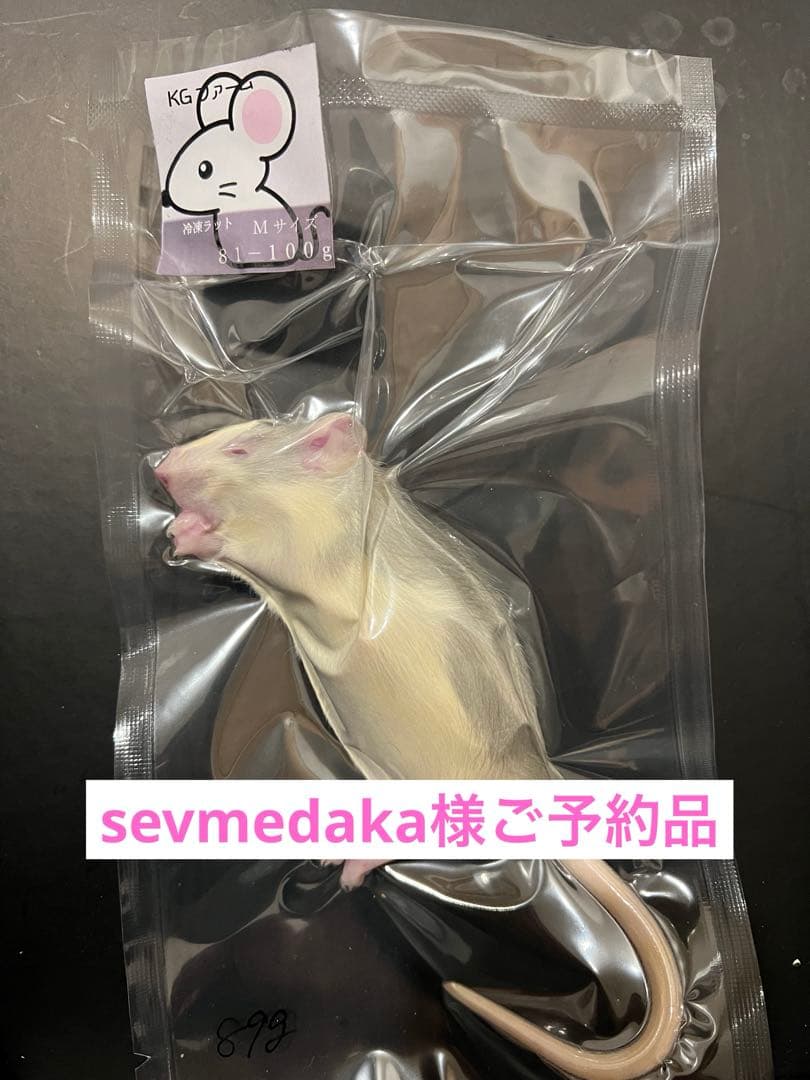 ☆冷凍ラット☆sevmedaka様ご予約品