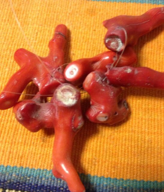 希少 ネイティブ 赤珊瑚 マプチェ チリ