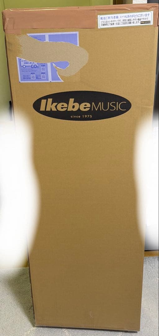 ギター epiphone LTD 1984 Explorer llica