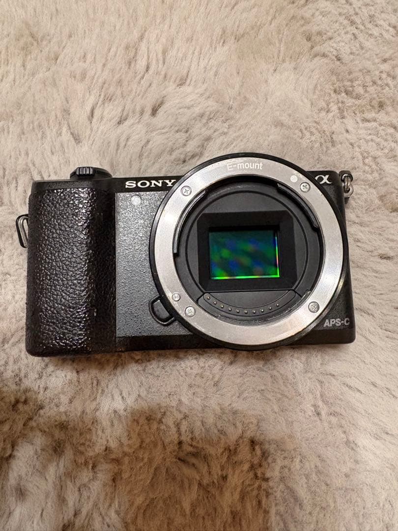 SONY α5100 SIGMA➕Amazon購入マニュアル単焦点