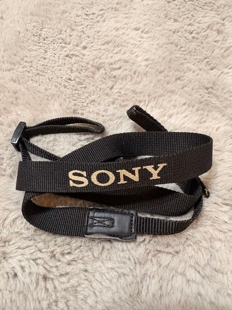 SONY α5100 SIGMA➕Amazon購入マニュアル単焦点