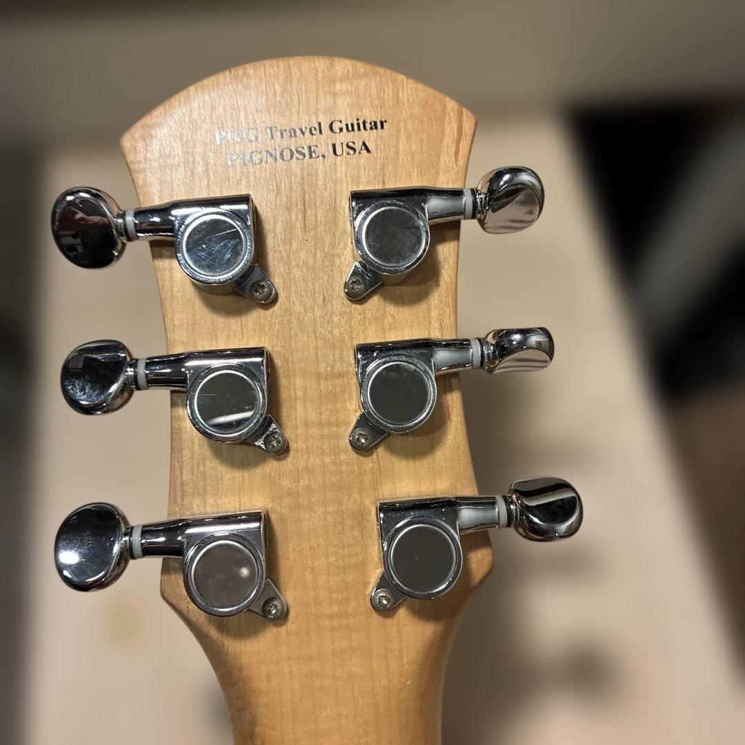 ピグノーズPGG200 黒