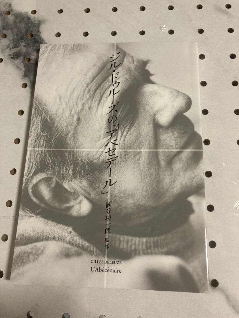 シルドゥルースの「アベセデール」　DVD 國分功一郎監修