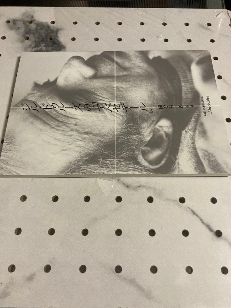 シルドゥルースの「アベセデール」　DVD 國分功一郎監修