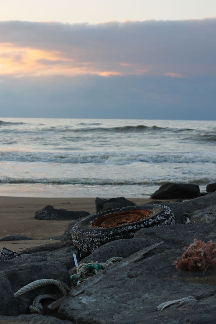 Canon EOS Kiss X50 レッド ef50mm f/1.8stm