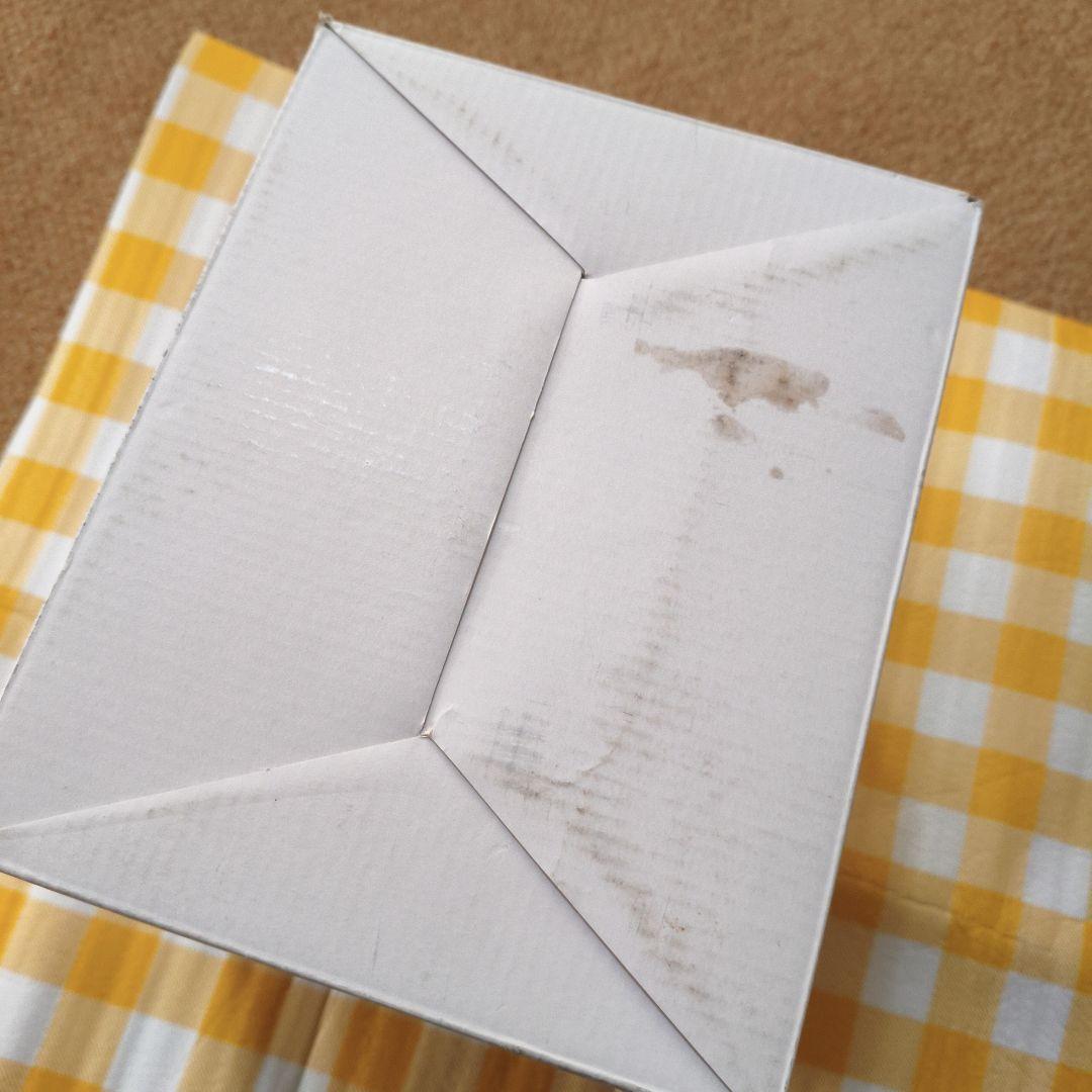 ディズニーストア　ラプンツェル　LEDライト　Disney　フィギュア　置物