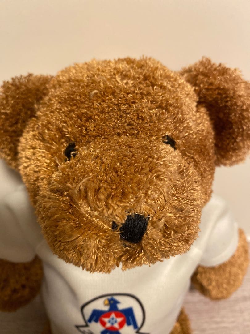 テディベア 米空軍 サンダーバーズ 2004年百里基地航空祭 記念グッズ