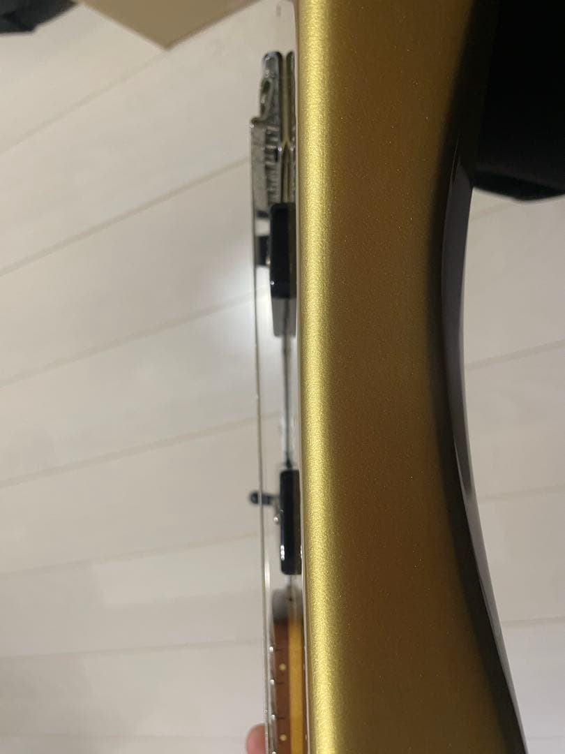 カイジ専用　Fenderタイプ　Artex Swinger guitar