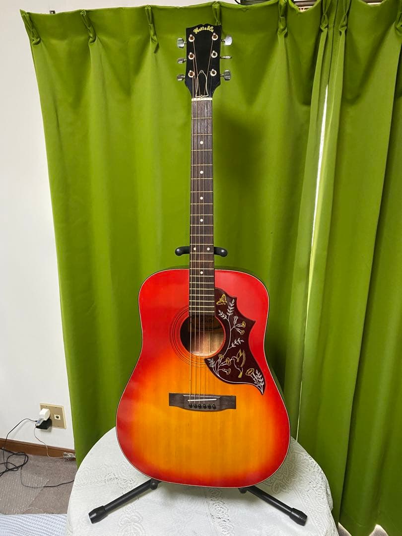 新春特価カントリーしようぜ！ ハミングバードHOTTAエレアコ音出し良好！