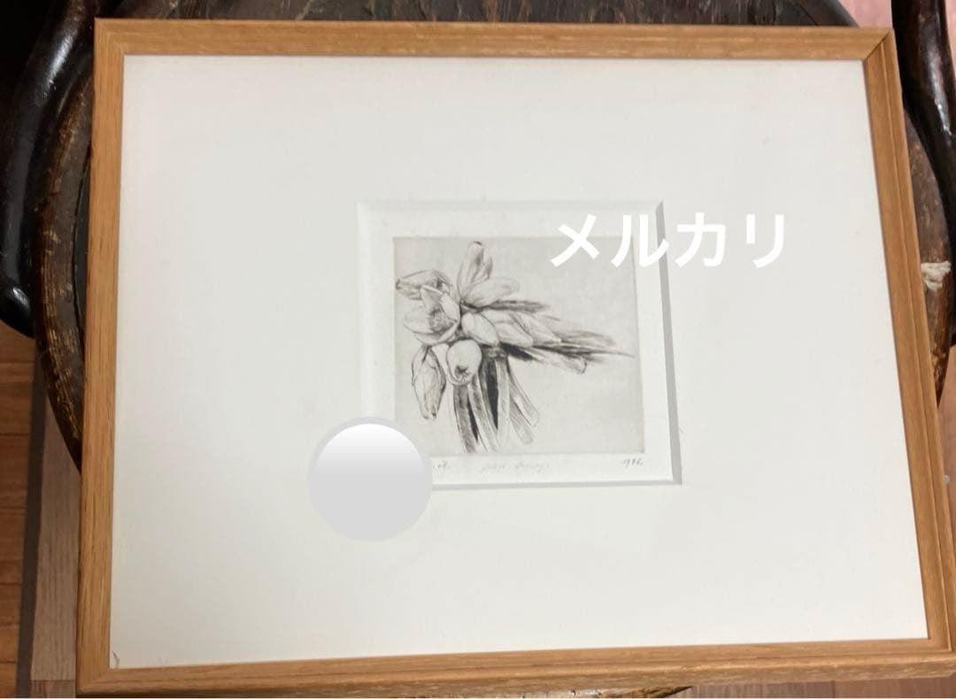 Jakob Demusダイヤモンドドライポイント技法エッチング　ボタニカル画②