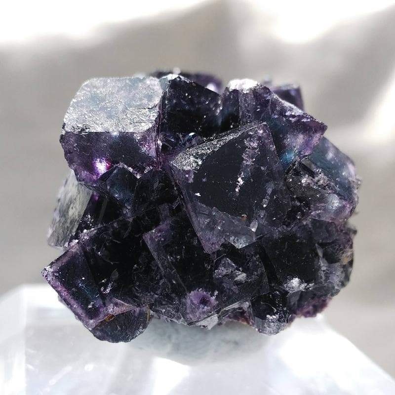 347 オコルス鉱山産 パープル ブルー フローライト