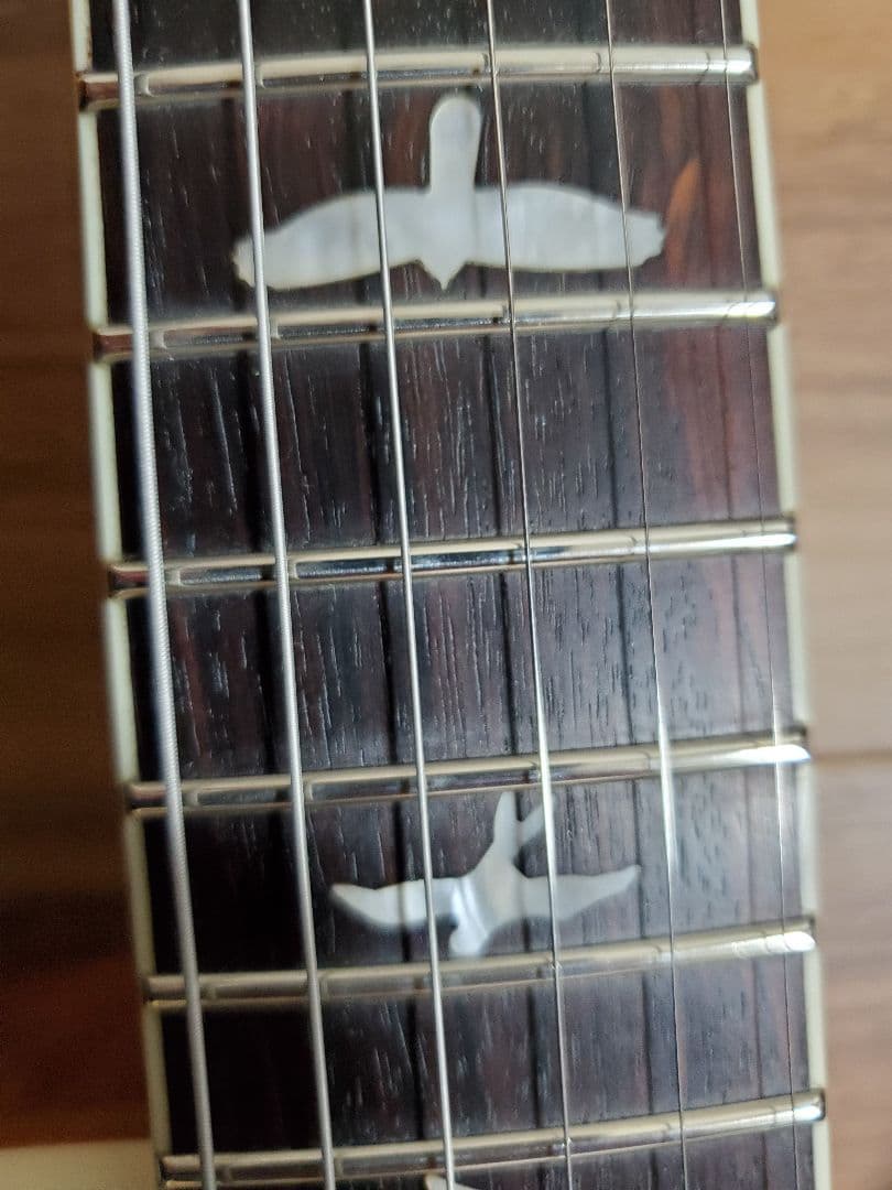 PRS SE　Zach Myers エレキギター 改造有