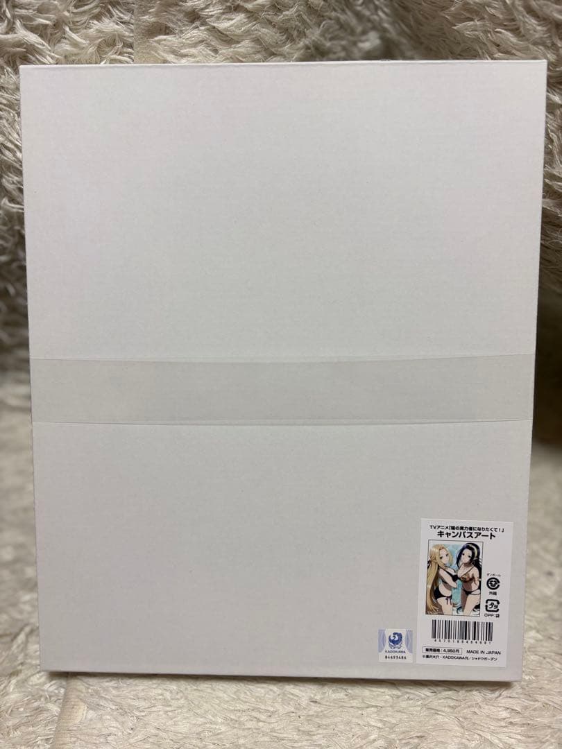 TVアニメ　陰の実力者になりたくて！　キャンバスアート　新品　未開封