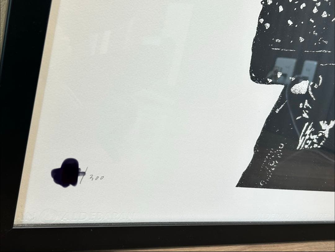 DOLK ドルクPUNK パンク シルクスクリーン 額装済み　版画