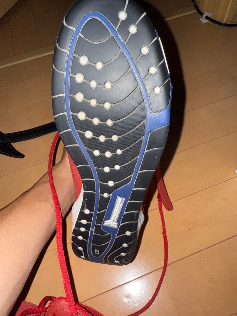 Everlastボクシングシューズ 26cm