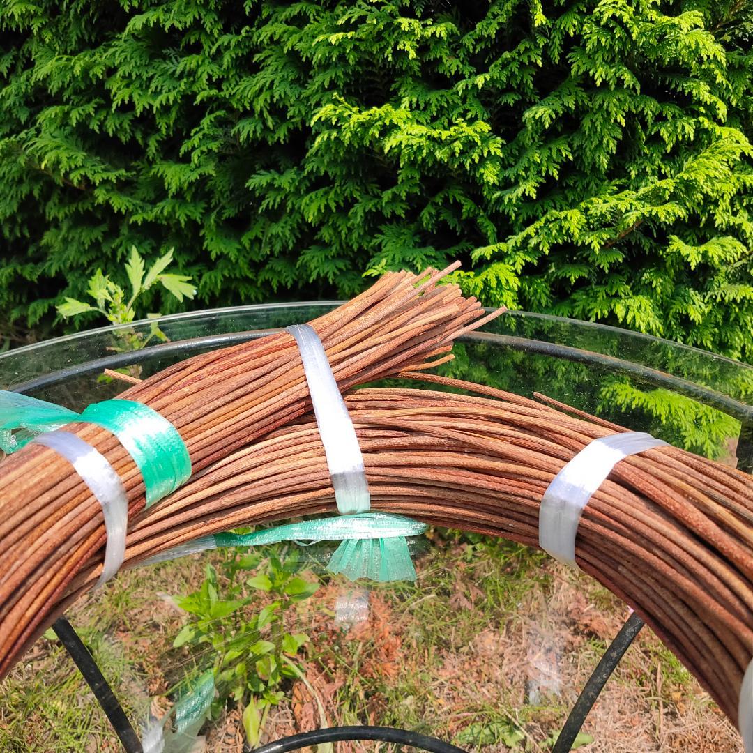 青森県岩木山採取　あけび蔓　150cm～　1kg