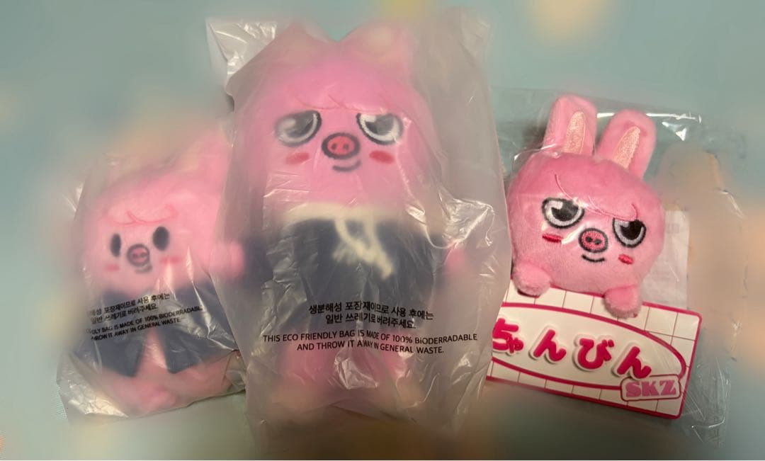 Stray Kids スキズ チャンビン SKZOO Dwaekki セット