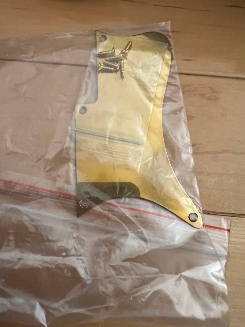 ギター B&G GUITARS little sister private build