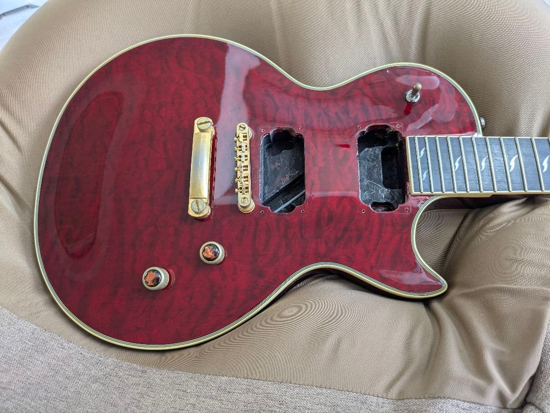 ギター Epiphone Les Paul Custom Prophecy GX