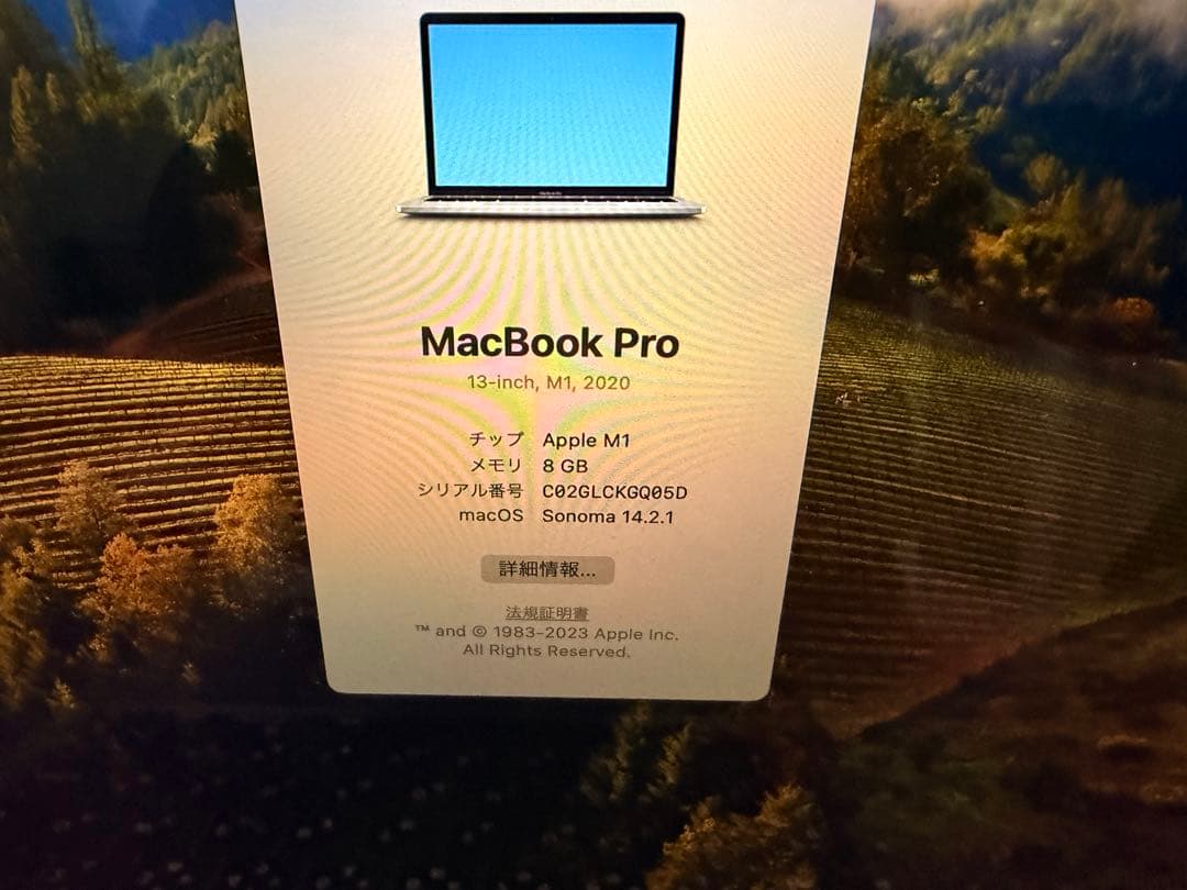 MacBook本体 MacBookPro2020 M1 13in 256GB 8GB bat100%
