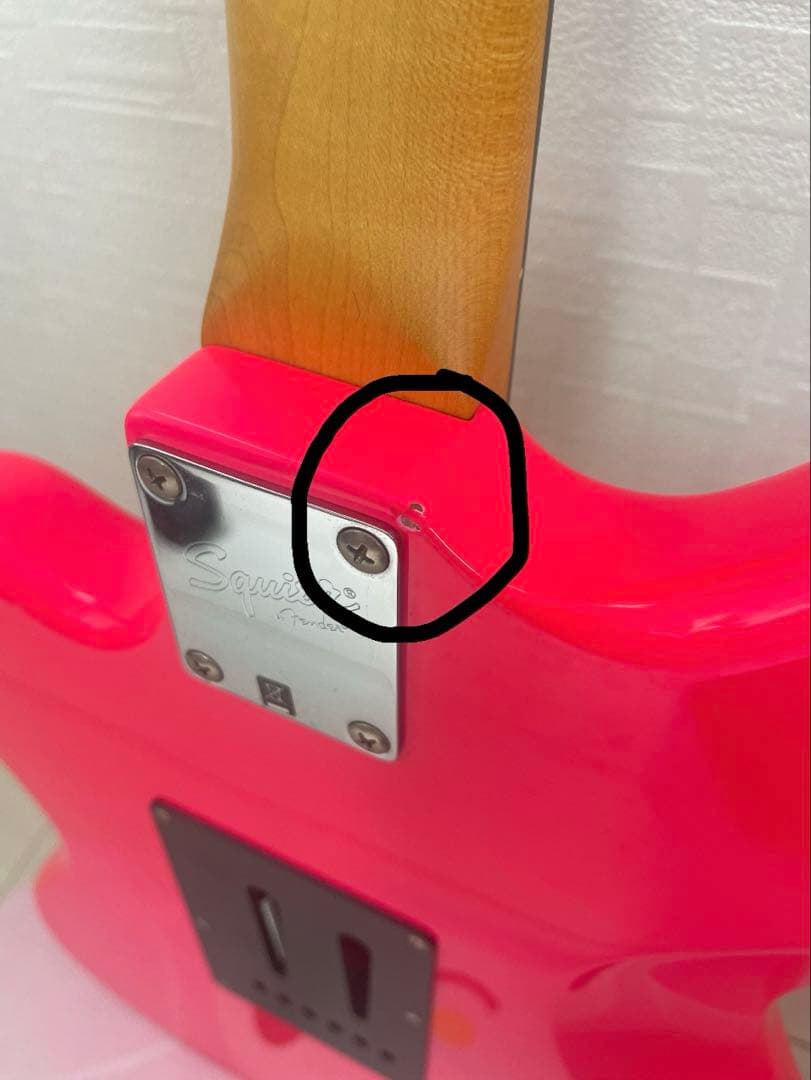 神聖かまってちゃん の子モデル ジャグマスター