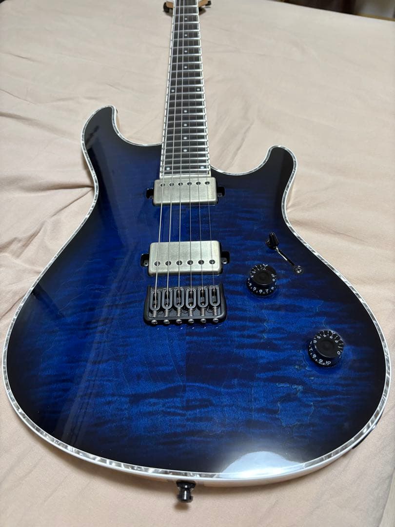 ギター mayones regius 6