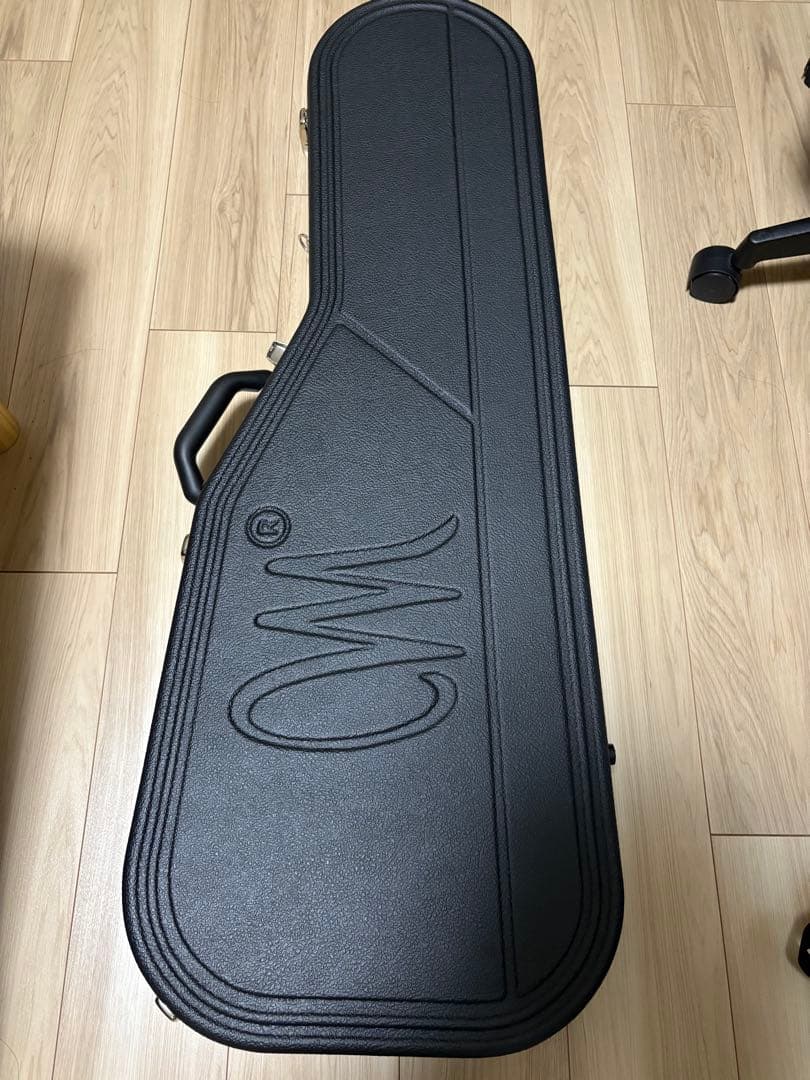 ギター mayones regius 6