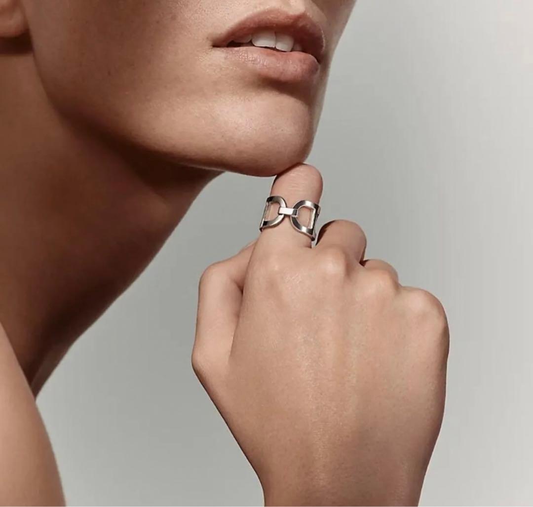 【極美品！】Hermes エルメス　エヴァーシェーヌダンクルMMリング