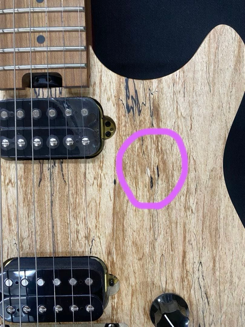 EVH エレキギター★ソフトケース付★