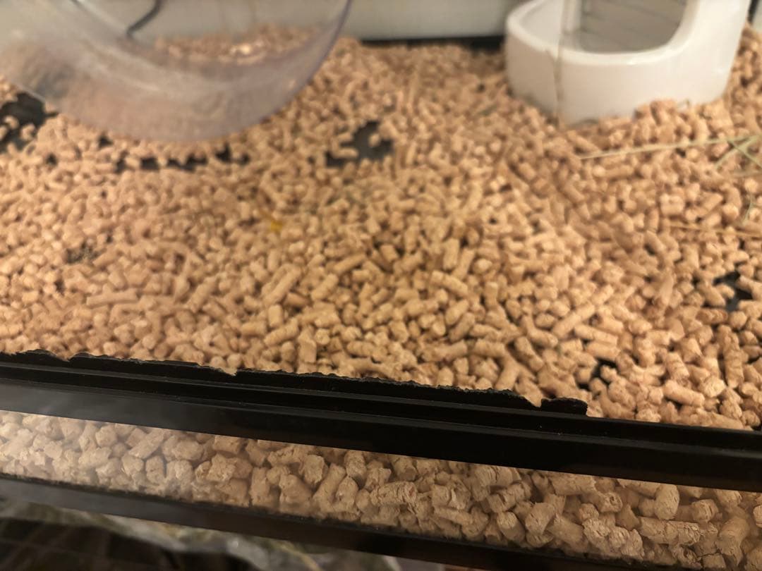 三晃商会 SANKO パンテオン ブラック BK9045 ワイルドモンスター