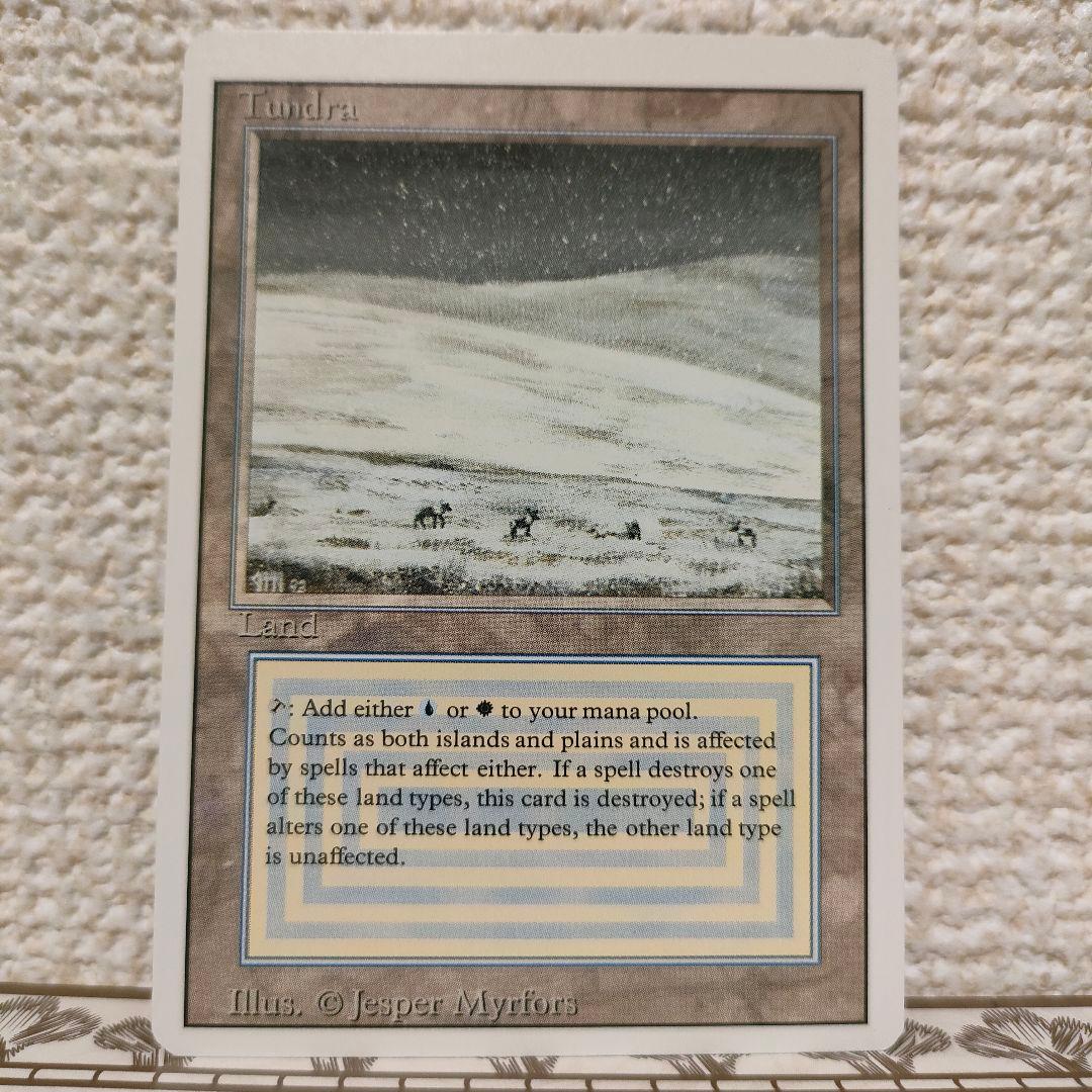 tundra 美品　デュアルランド