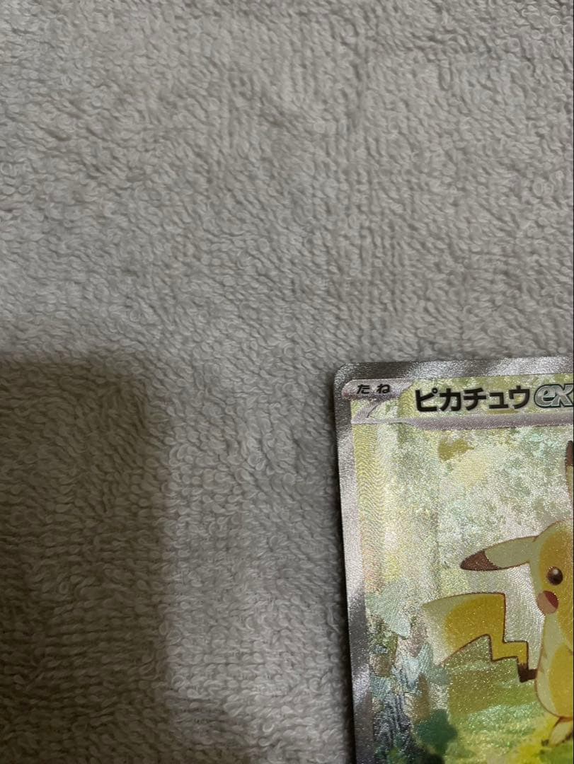 h*a様 ピカチュウ