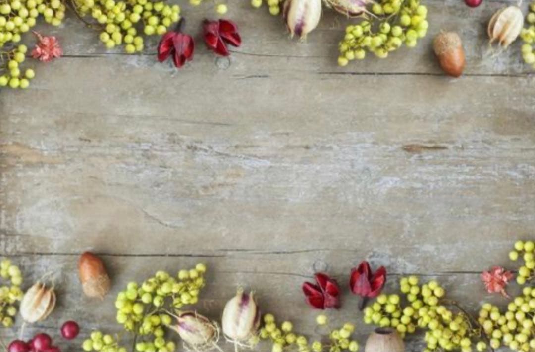 M1276.一木一横 寰宇天穹 マスキングテープ 贝壳光PET