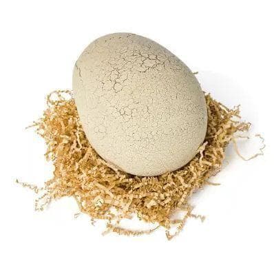 ☆新品 タカラトミー うまれて！ウーモ ジュラシックワールド T-レックスエッグ