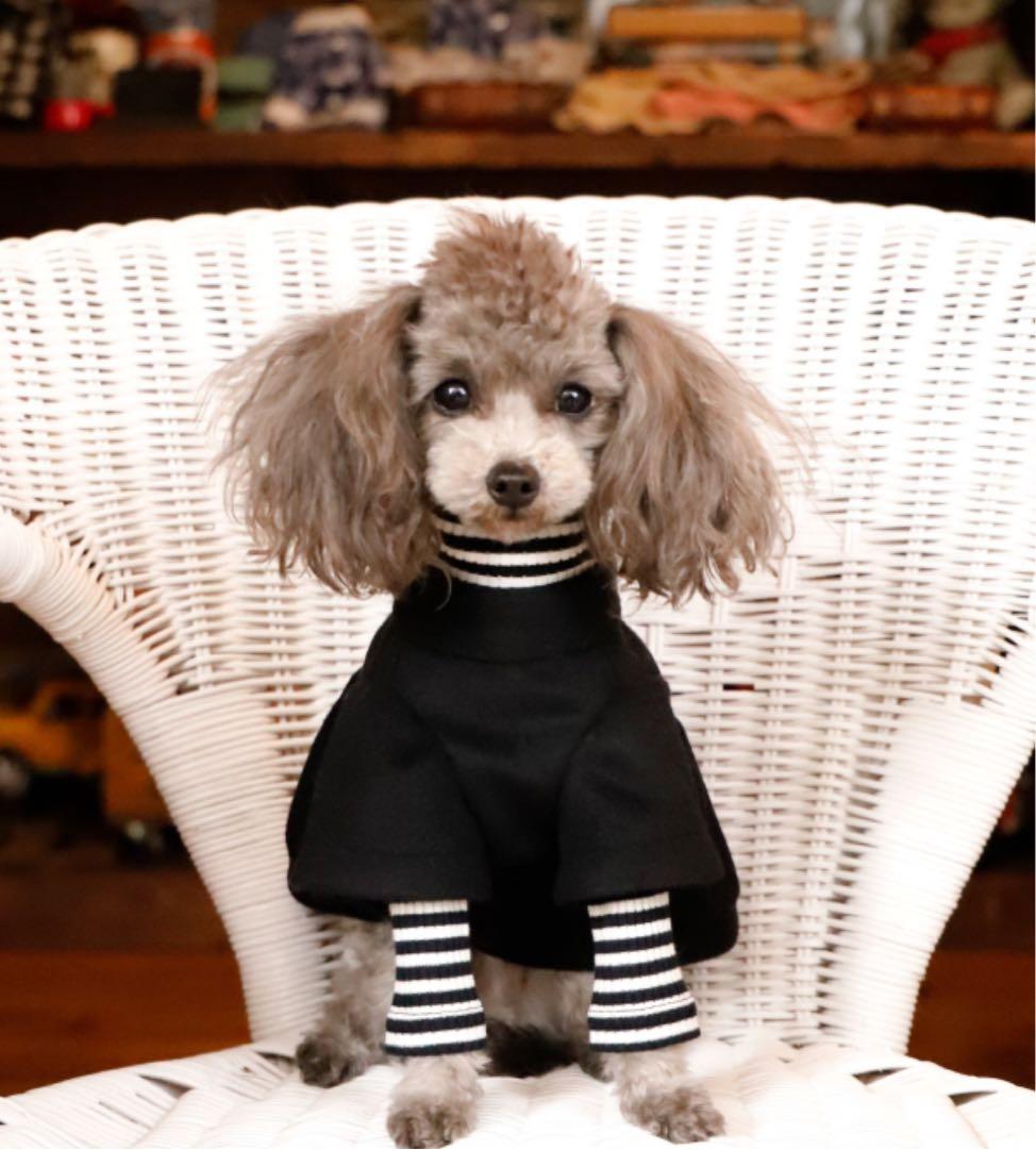 アトリエgg⭐︎ マント・デ・マルシェ⭐︎コート⭐︎カシミヤ⭐︎１ハーフ