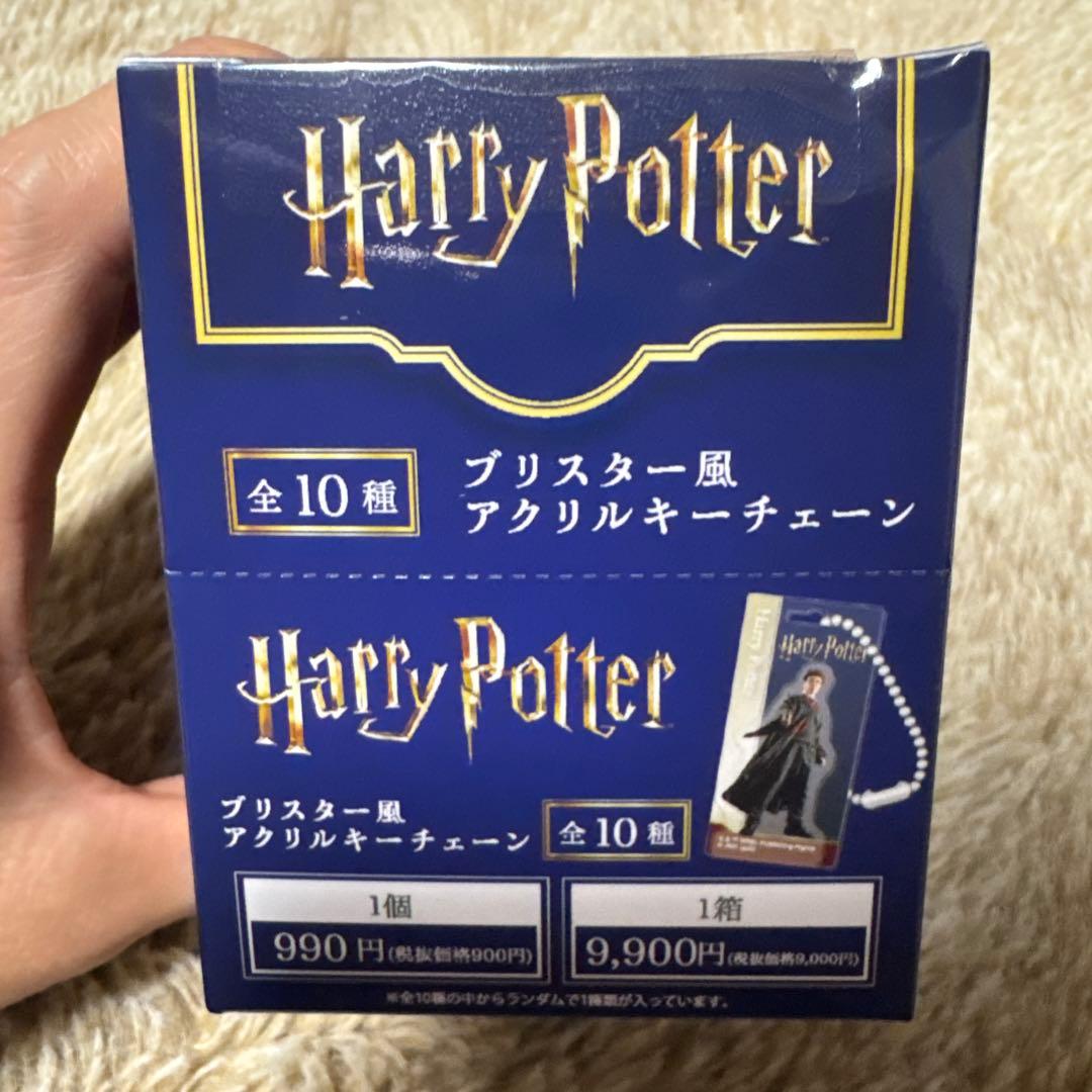 ハリーポッター Harry Potter ブリスター風アクリルキーチェーン