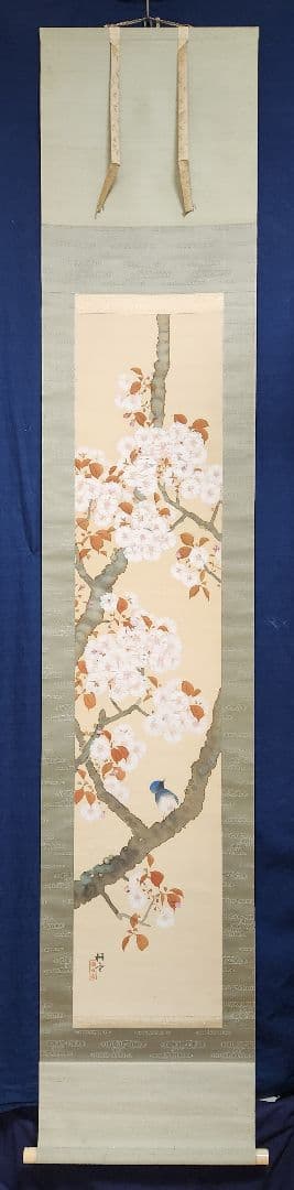 【桜花小禽図】山田耕雲 2688 サクラに鳥 春掛け 花見 掛け軸 肉筆 共箱