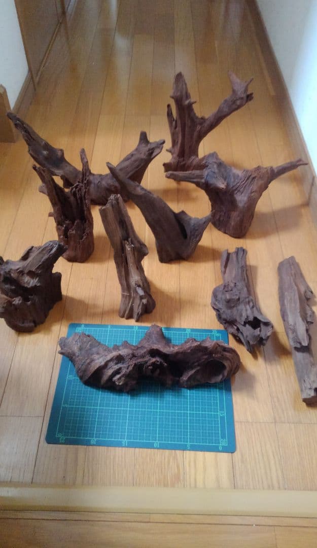 流木　10個セット　アクアリウムオブジェ