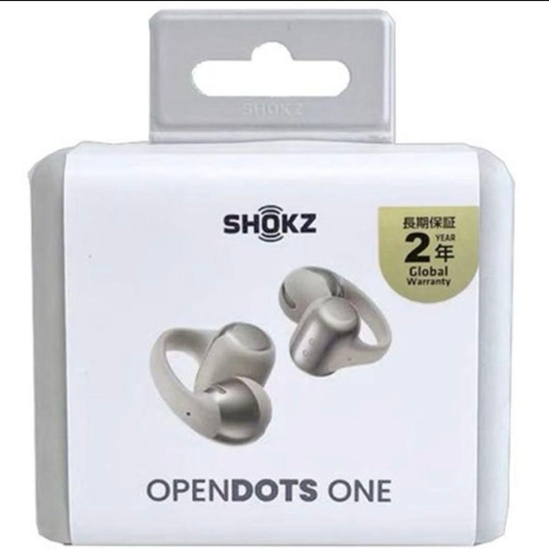 【美品】Shokz opendots one グレー 充電器のみ